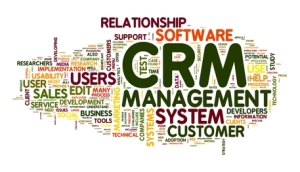 Customer Relationship Management System CRM in word tag cloud